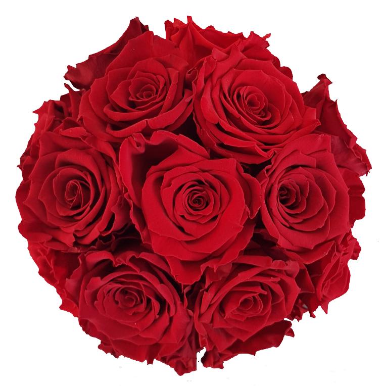 Infinity Rosen in der Box