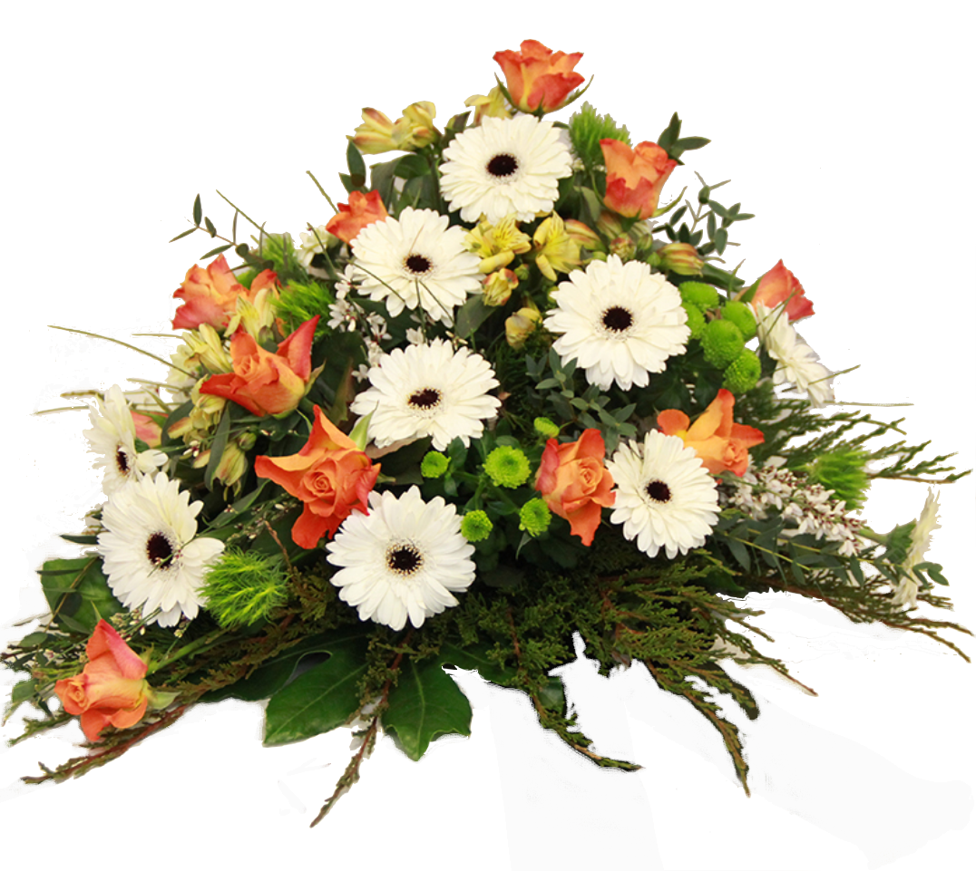 Gerberas/ Germenis