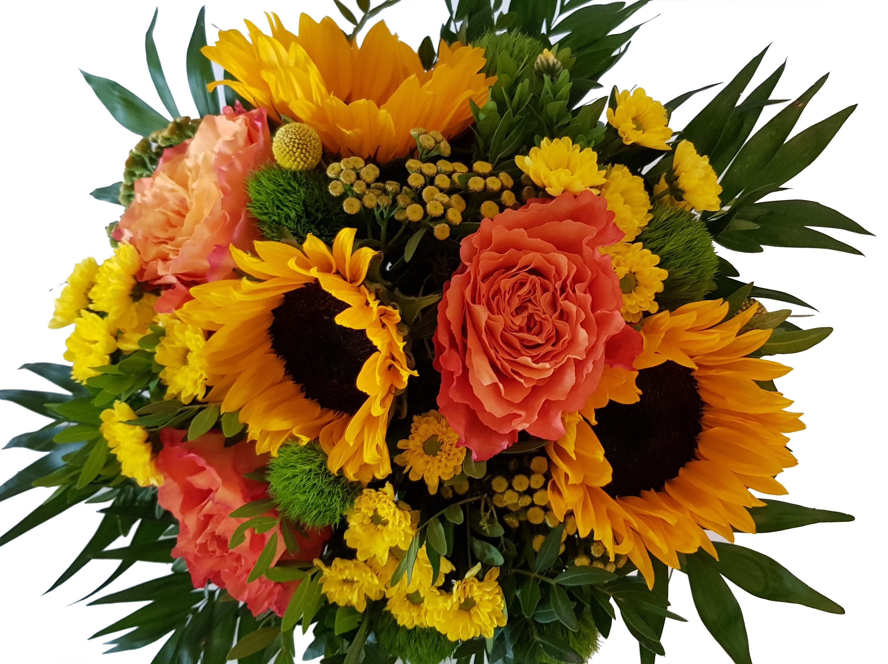 Sonnenblumen
