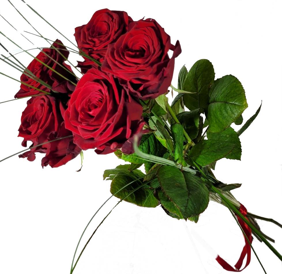 Blumen pur - Solisten