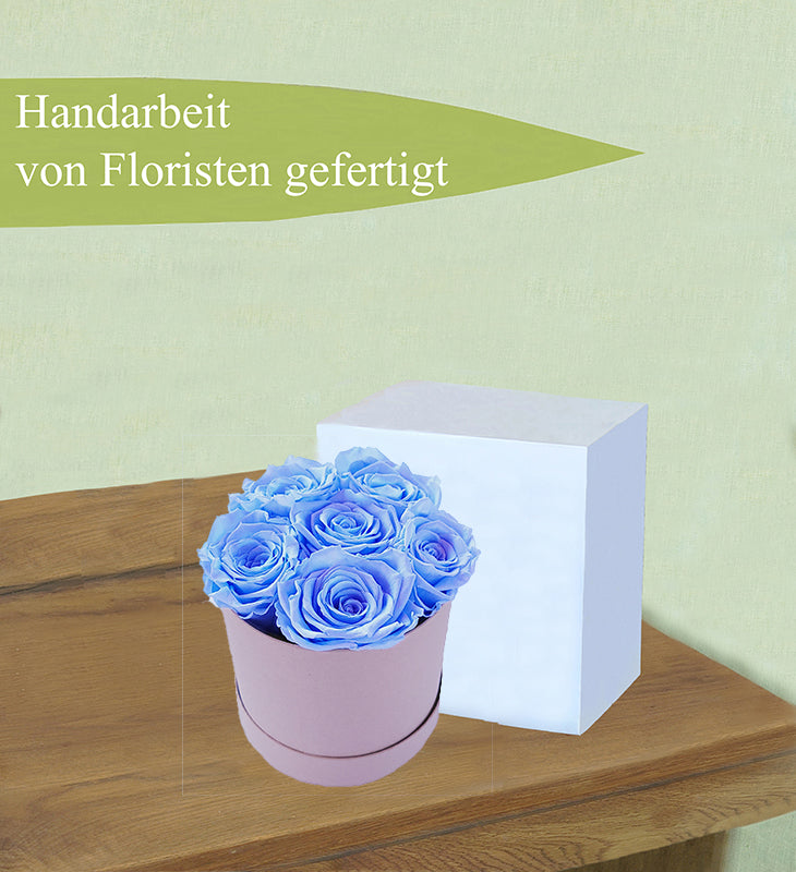 1-Kopie-312323-Kopie11dsagdg