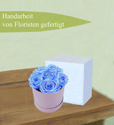 1-Kopie-312323-Kopie11dsagdg