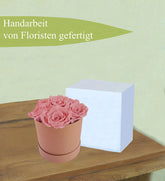 1-Kopie-312323-Kopie12