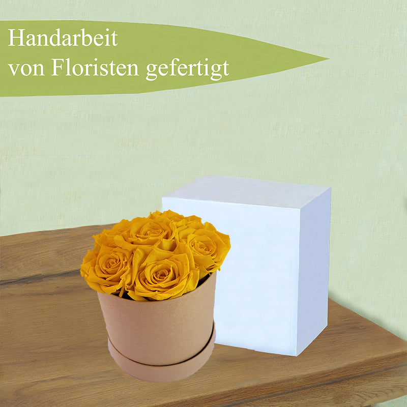 1-Kopie-312323-Kopiekq037WHu9mfuC