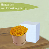 1-Kopie-312323-Kopiekq037WHu9mfuC