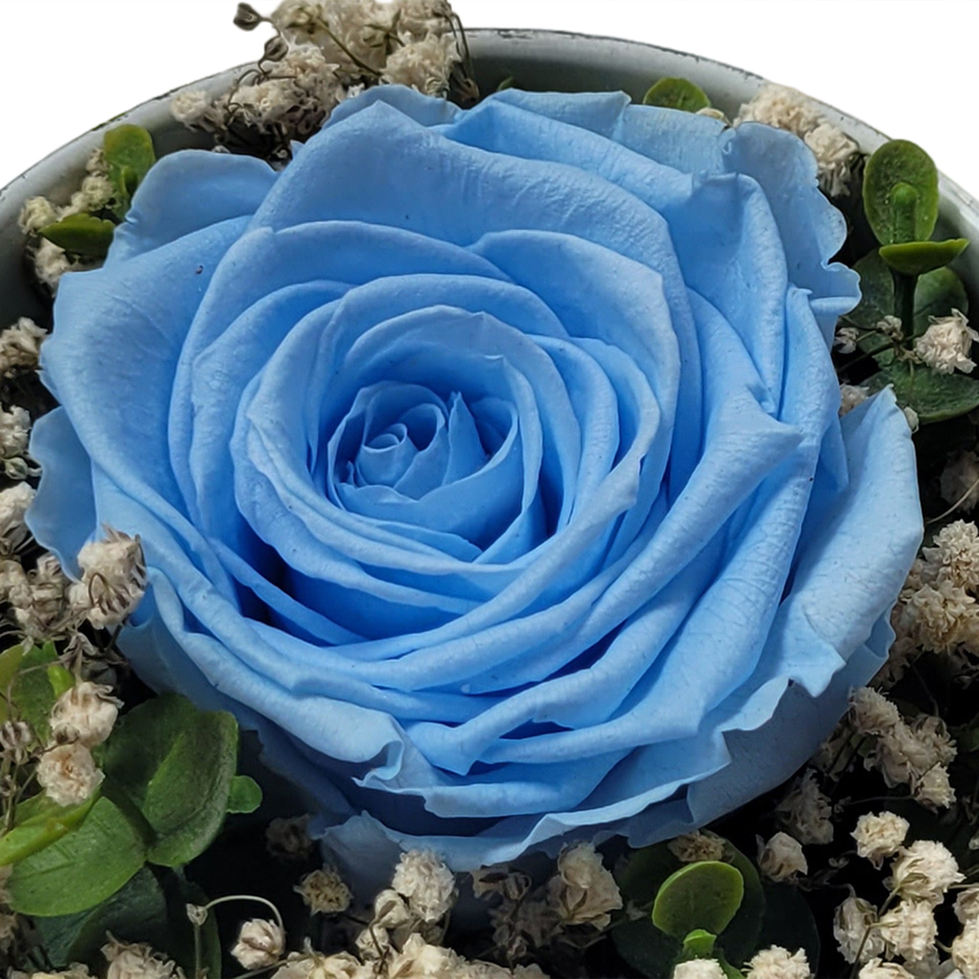 Ewige Gelassenheit - Infinity Rose Hellblau - als Geschenk