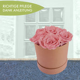 111-1111-Kopie1-Kopie-31