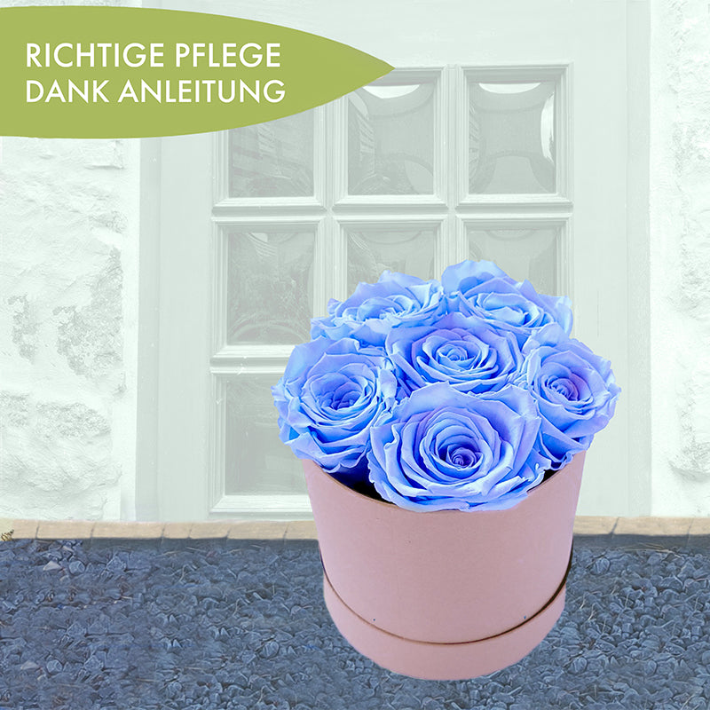 111-1111-Kopie1-Kopie