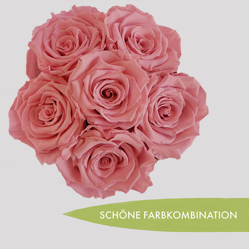 1a-20220731_113303-Kopie-2-l-l-Kopie