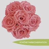 1a-20220731_113303-Kopie-2-l-l-Kopie