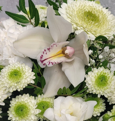 Blumengruß mit Orchiedeen