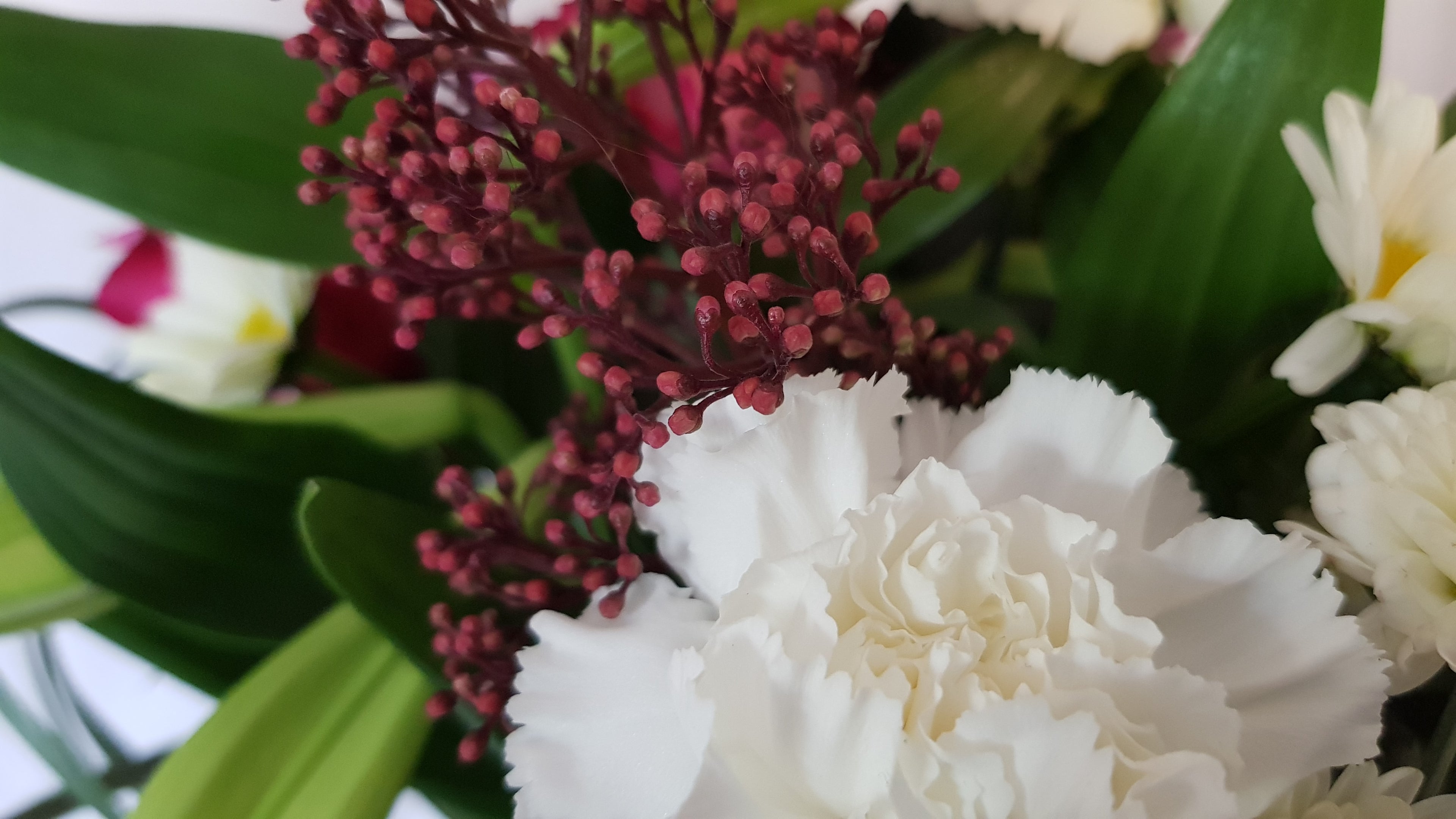 20180503_122616
