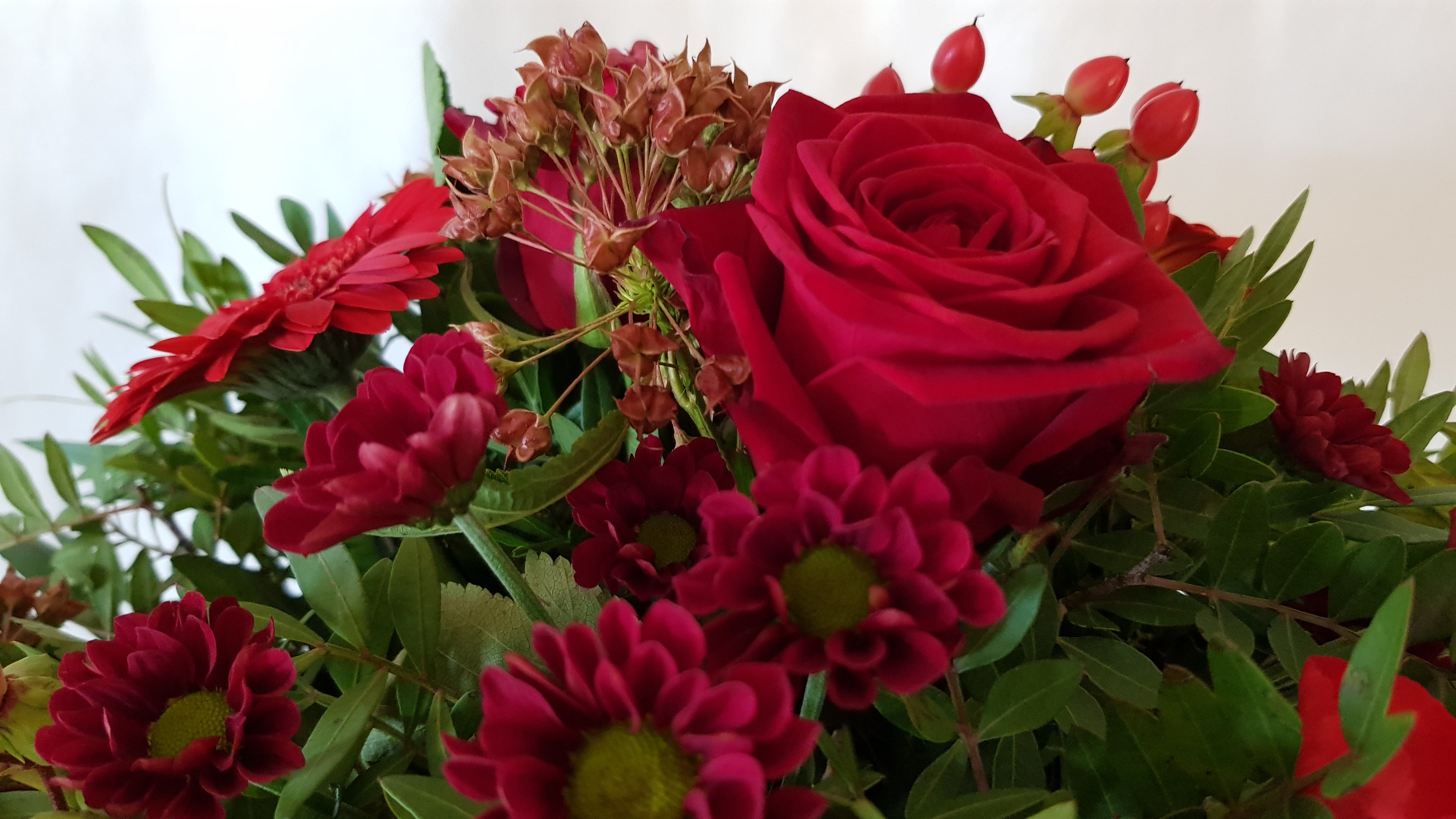 frische Blumen mit roten Rosen