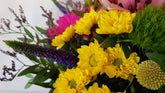 bunte frische Blumen ,, Blumenstrauß Farbenwelten,,