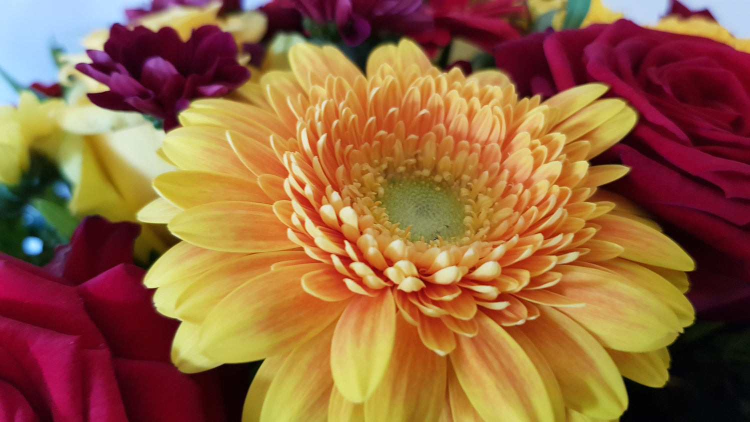 Herrlicher frischer Blumengruß mit Sofort Lieferung innerhalb Deutschland zum Wunschtermin