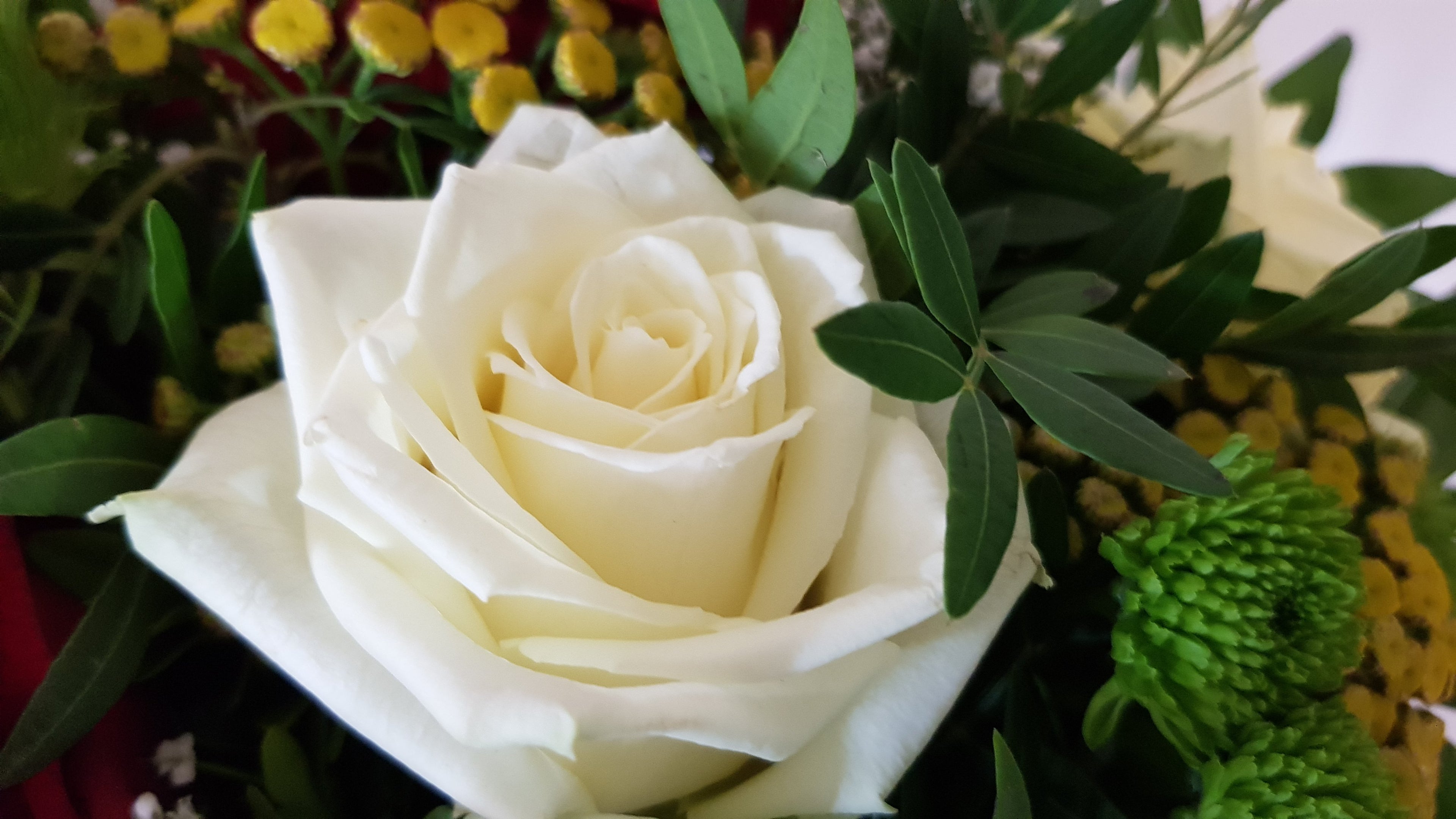 Blumenstrauß mit frischen Rosen mit Expressversand