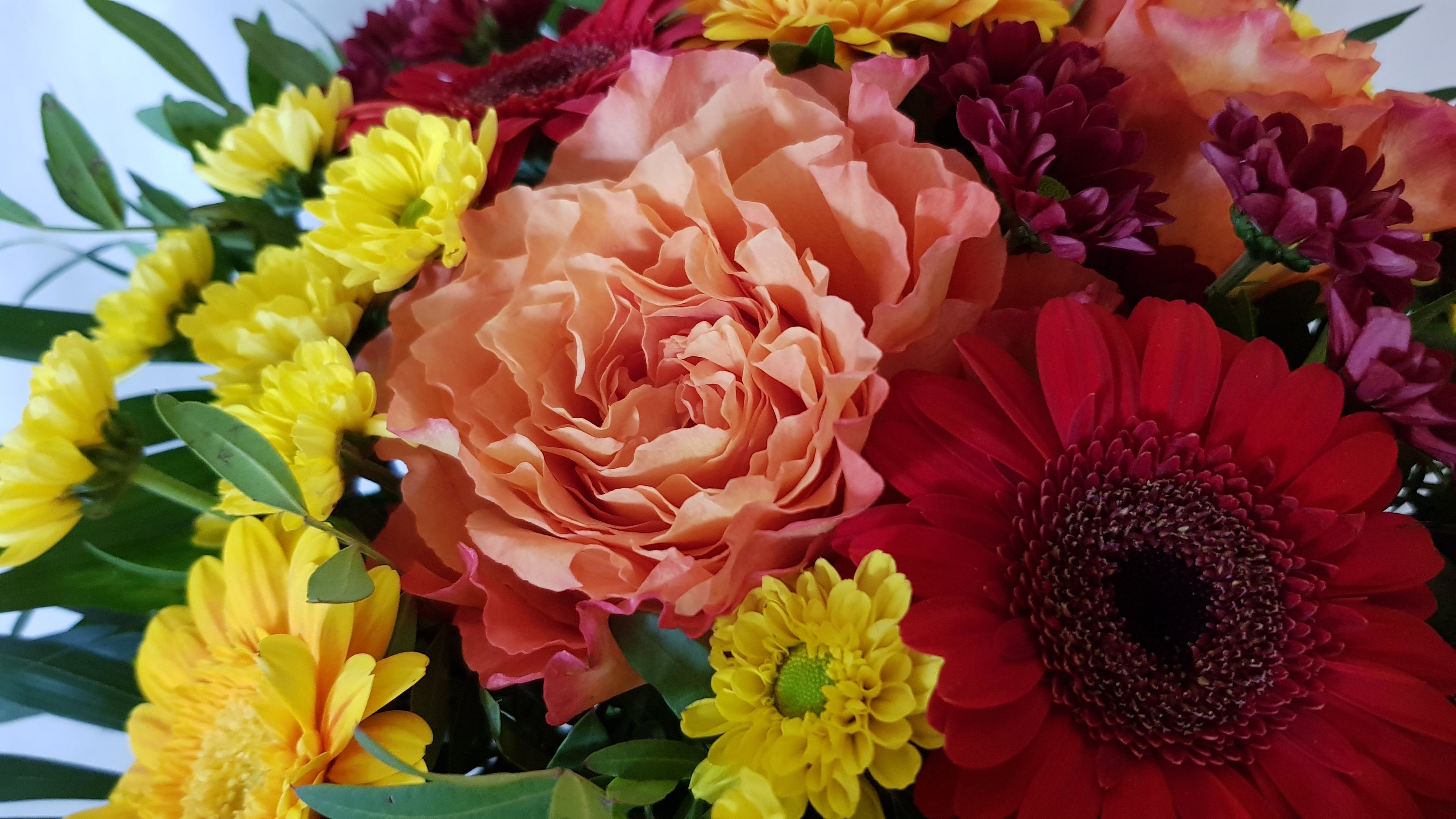frisch und wunderschön > ist dieser bunte Blumenstrauß, liebevoll gebunden und verpackt vom Floristen