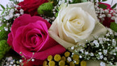 Blumenstrauß kaufen mit Rosen Expresslieferung