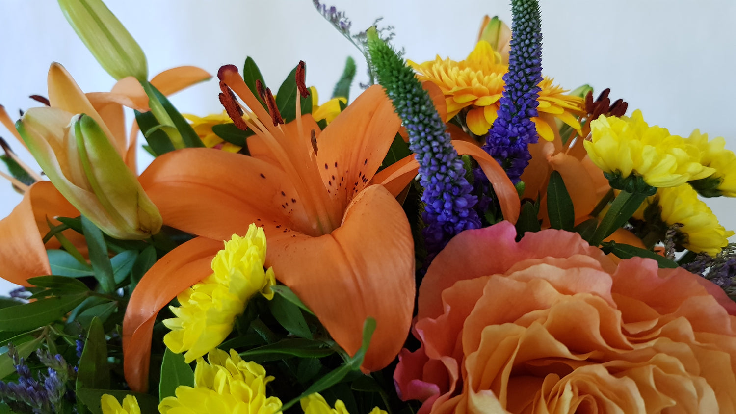 Blumenstrauß versenden.. Strahlemann.. ideal zum versenden im Karton