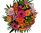 20181211_202137-aaaqVNOaTNvqVokX