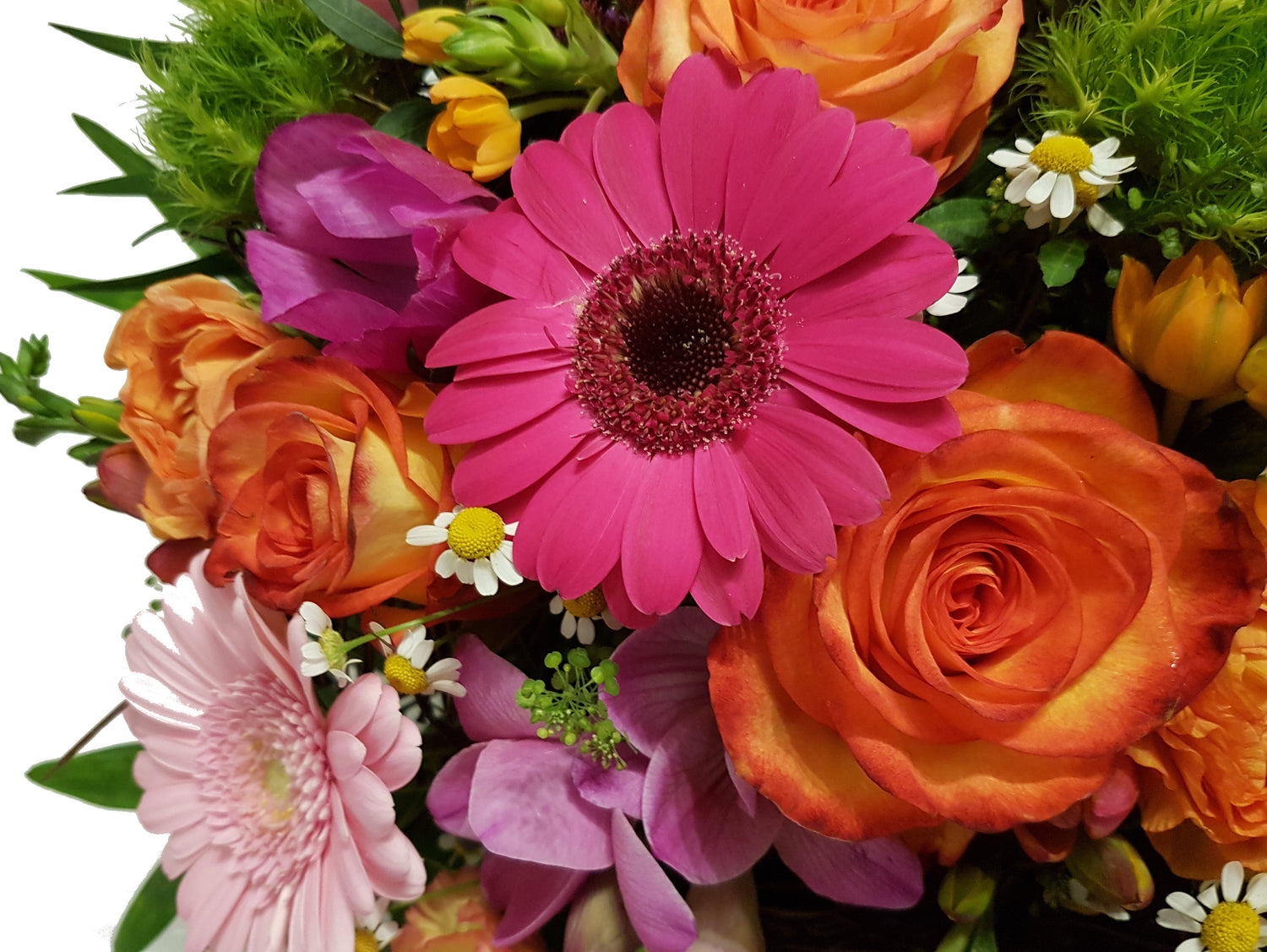 20181211_202241-aaaa