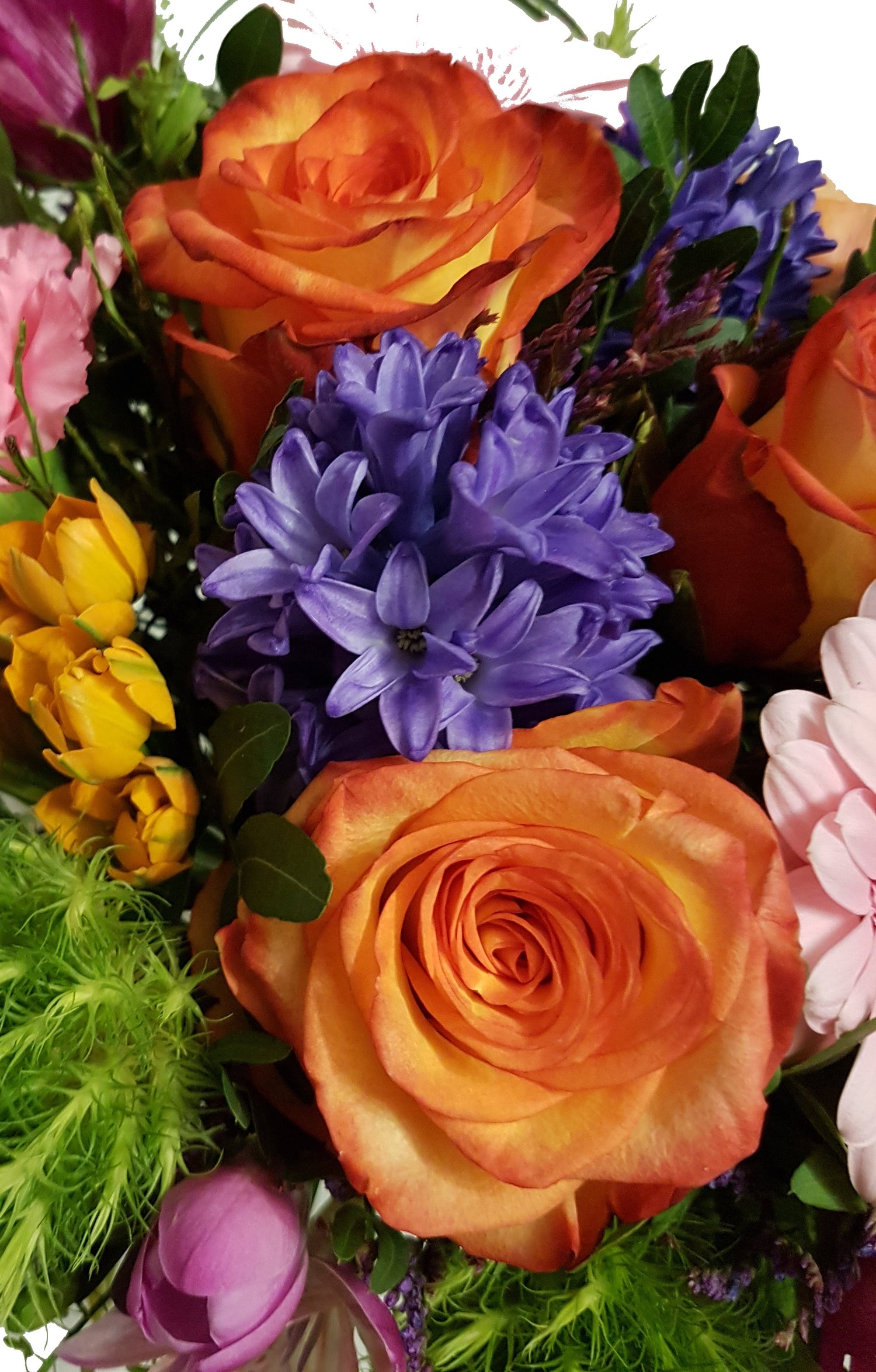 20181211_212009-aaaa