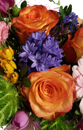 20181211_212009-aaaa