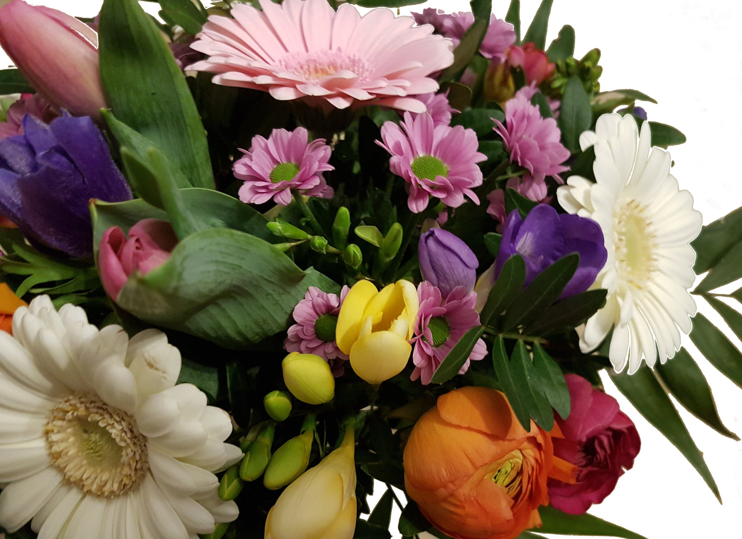 20190107_192402-aaaa