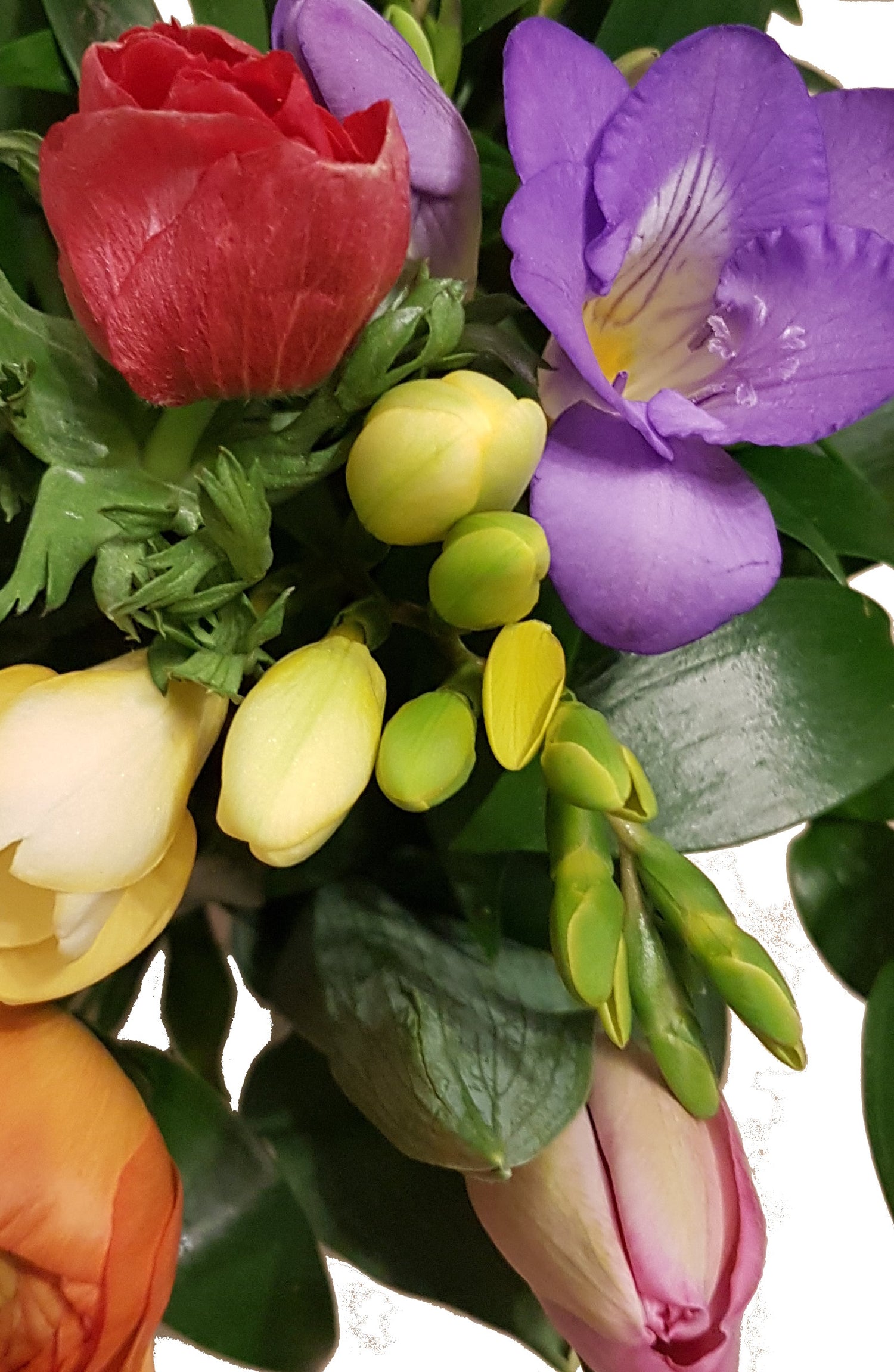 20190108_192759-aaaaa