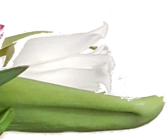 20190108_193239-aaaaagg