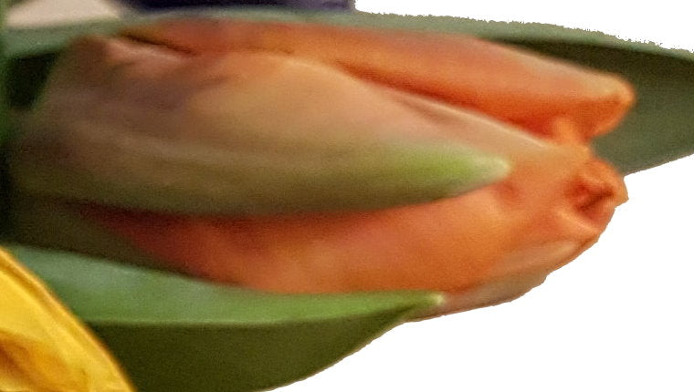 20190108_194033