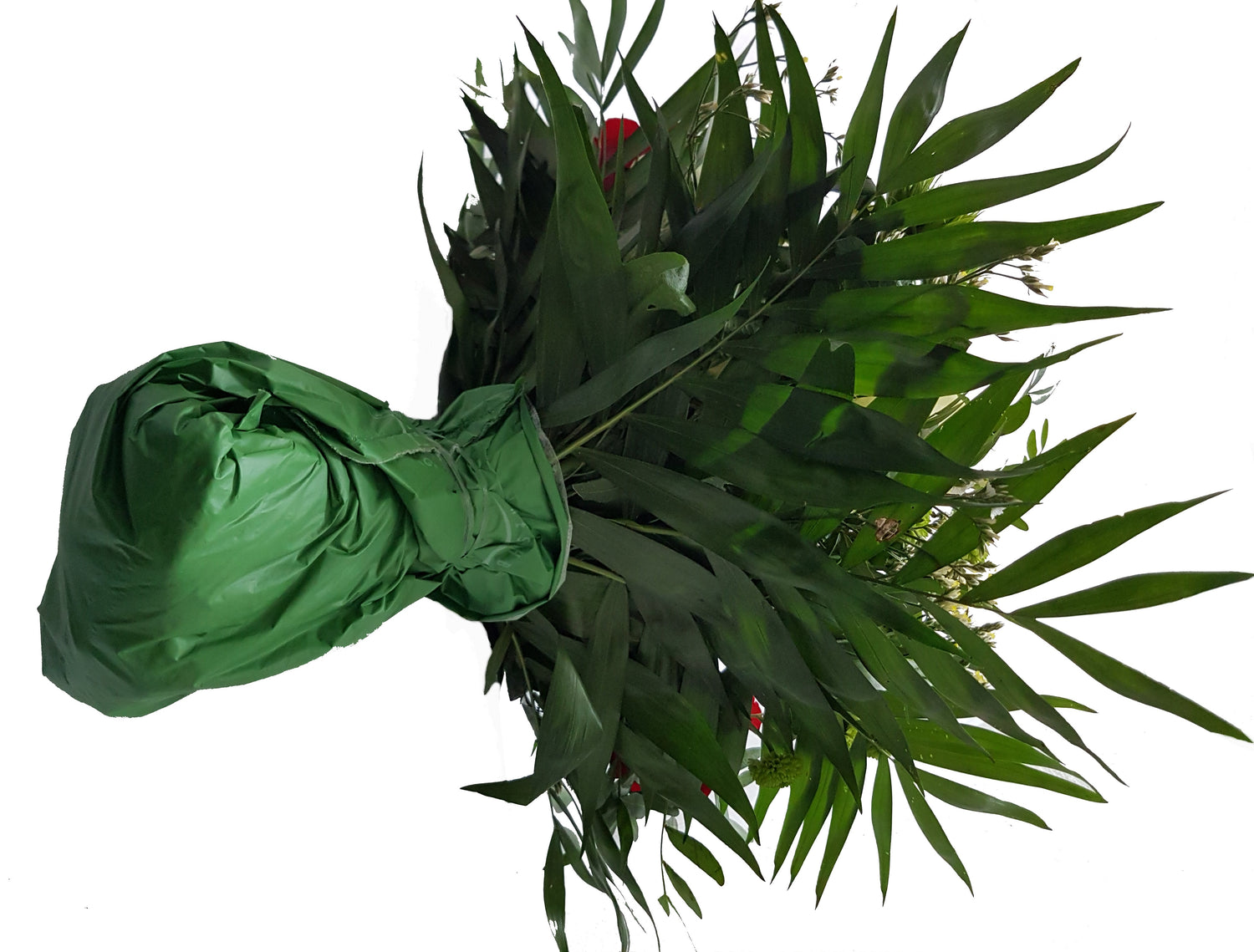 20200131_105540-1-neu