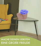 20220718_130050-Kopie-neuuuuu-Kopie-2