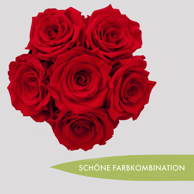 20220731_113303-Kopie-3