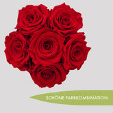 20220731_113303-Kopie-3