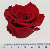 20220805_111636-Kopie