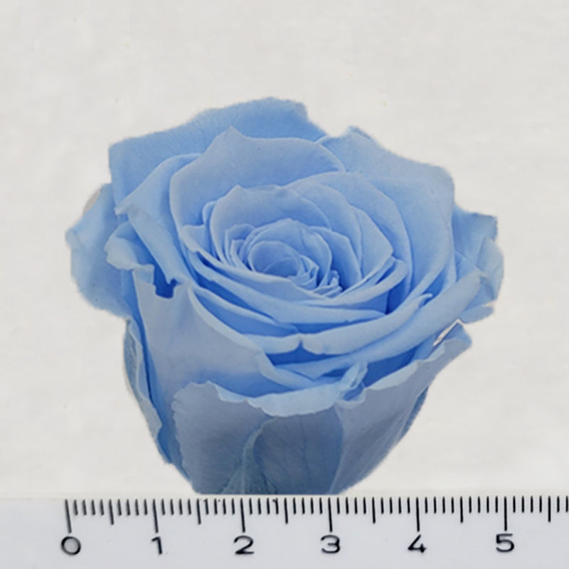 20220805_111636-Kopiehtubgkn