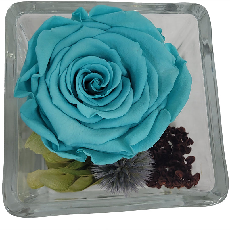 20220809_130252-Kopie