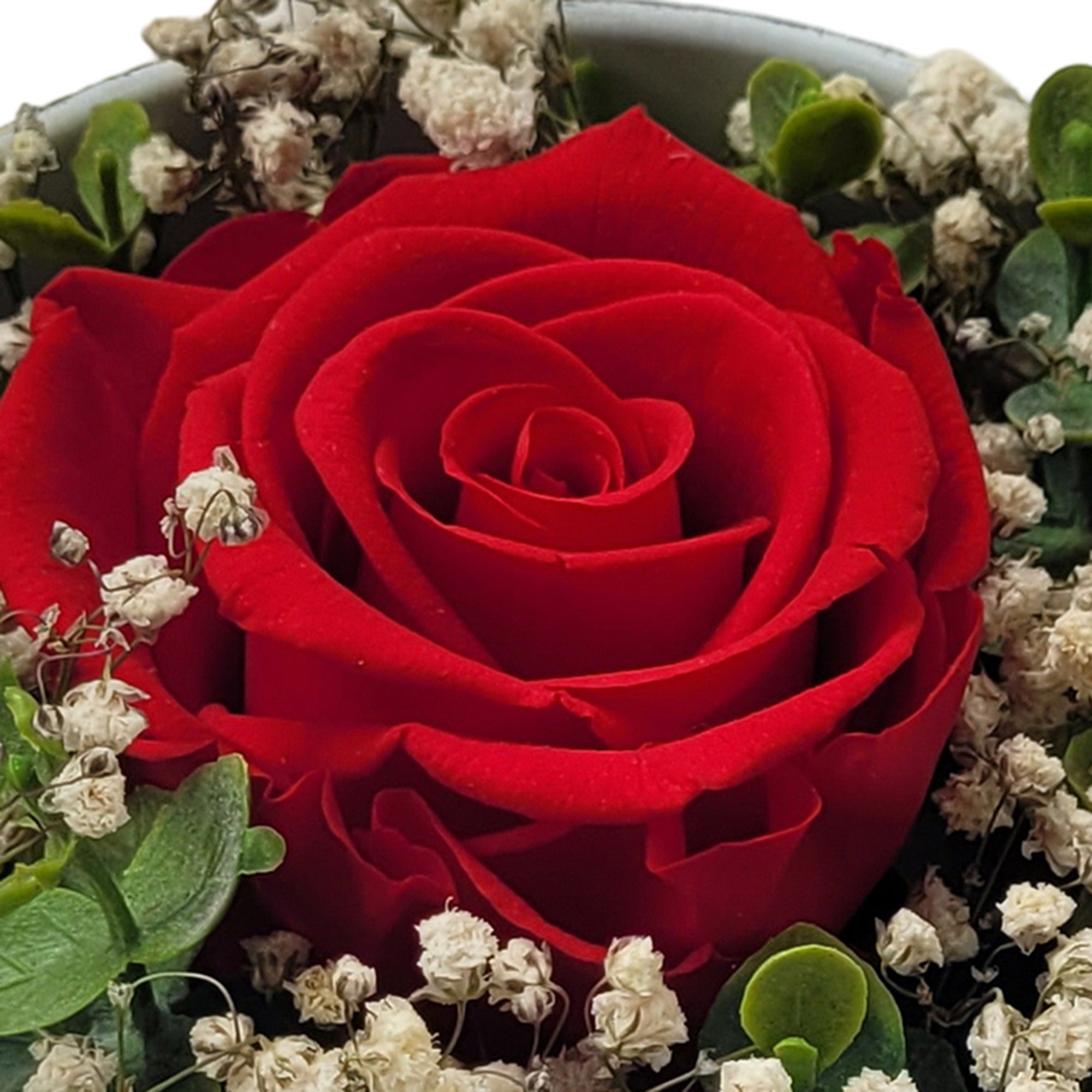 Ewige Liebe - Infinity Rose - als Geschenk
