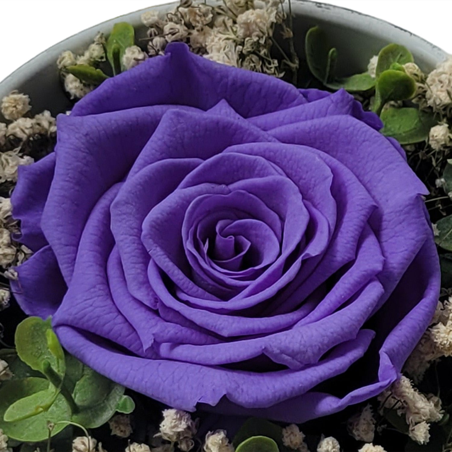 Ewiges Geheimnis  - Infinity Rose - als Geschenk