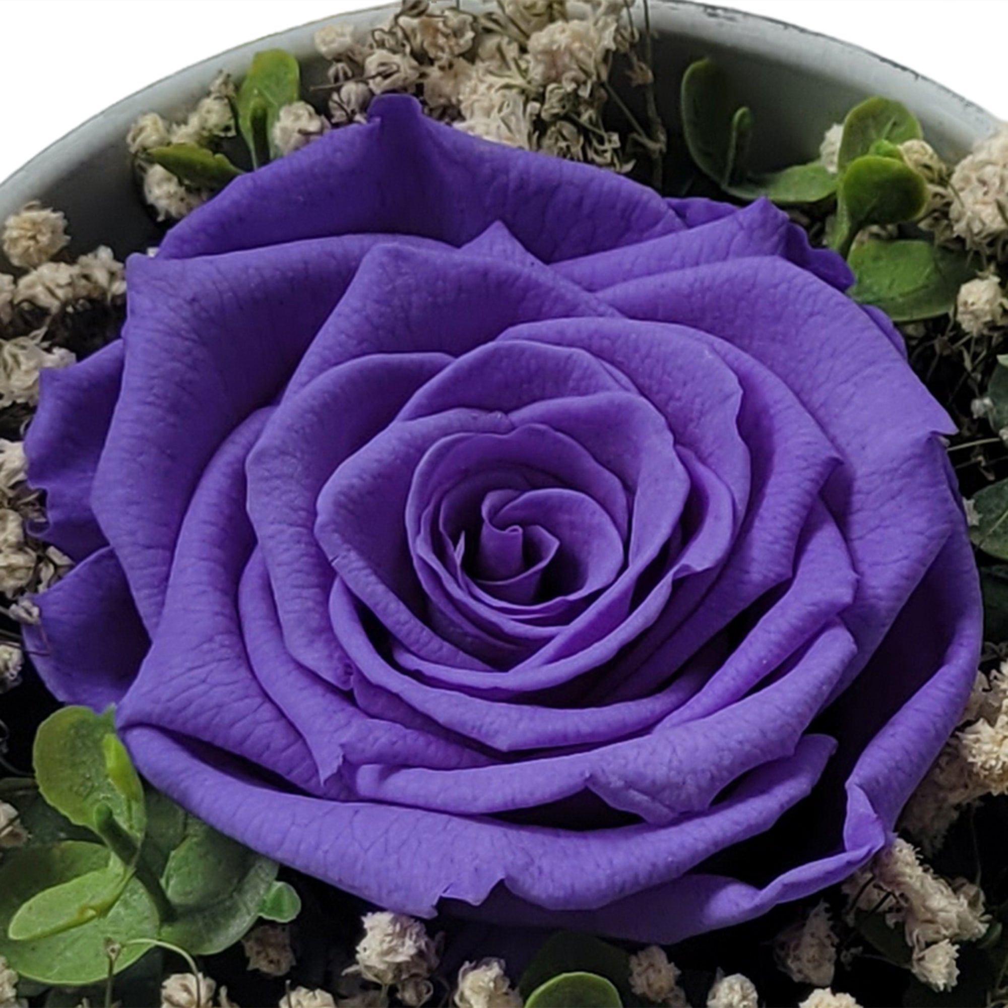 Ewiges Geheimnis - Infinity Rose - als Geschenk