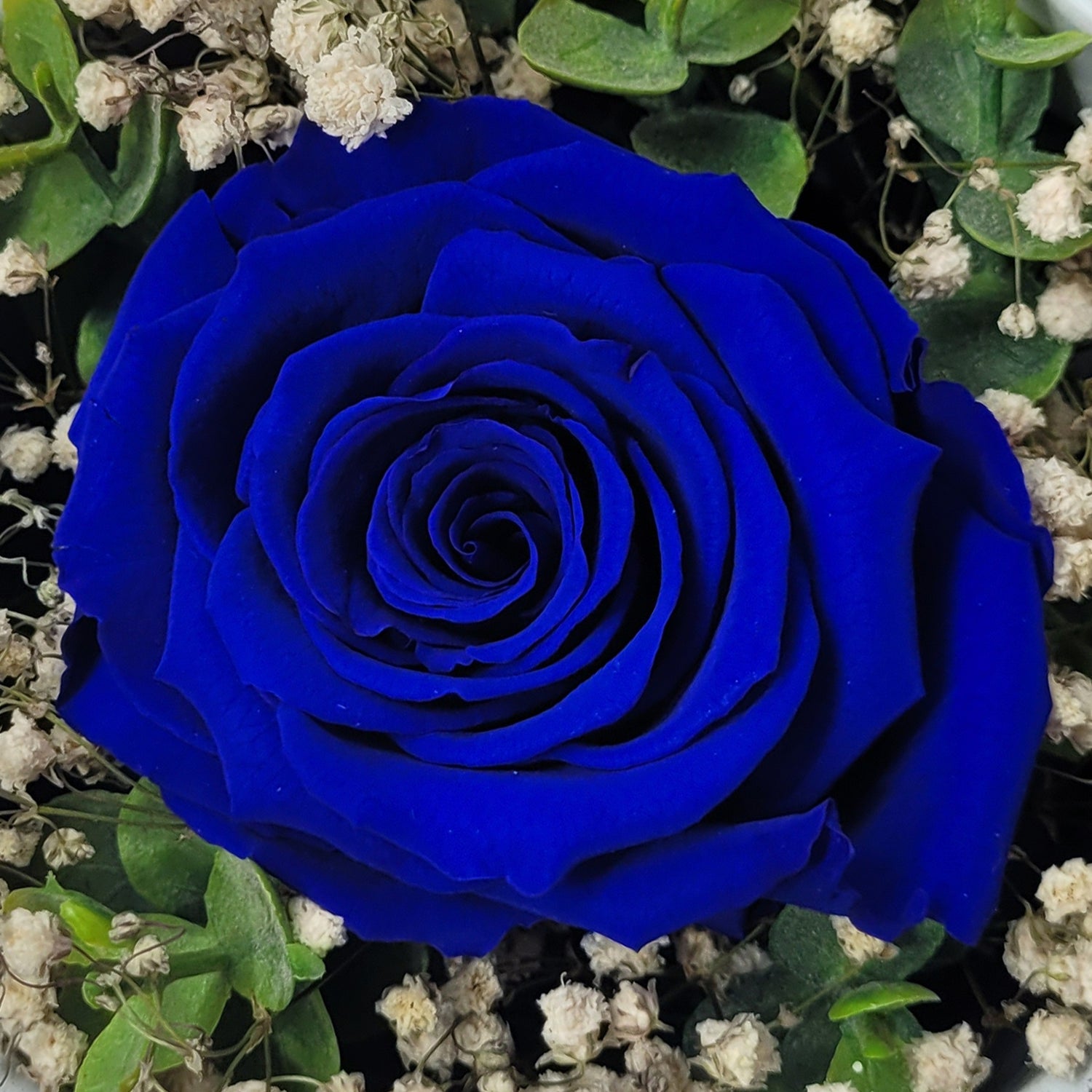 Ewiges Glück - Infinity Rose - als Geschenk