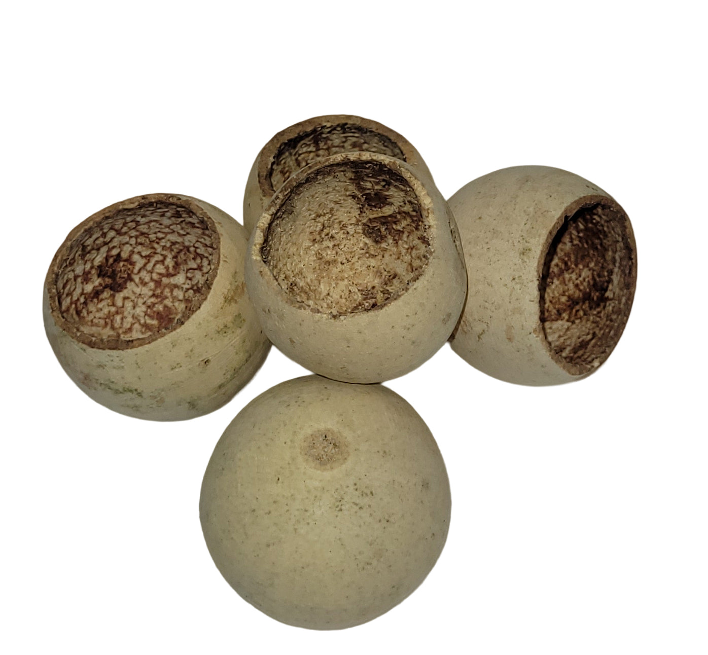 Trocken Bell Cup natur