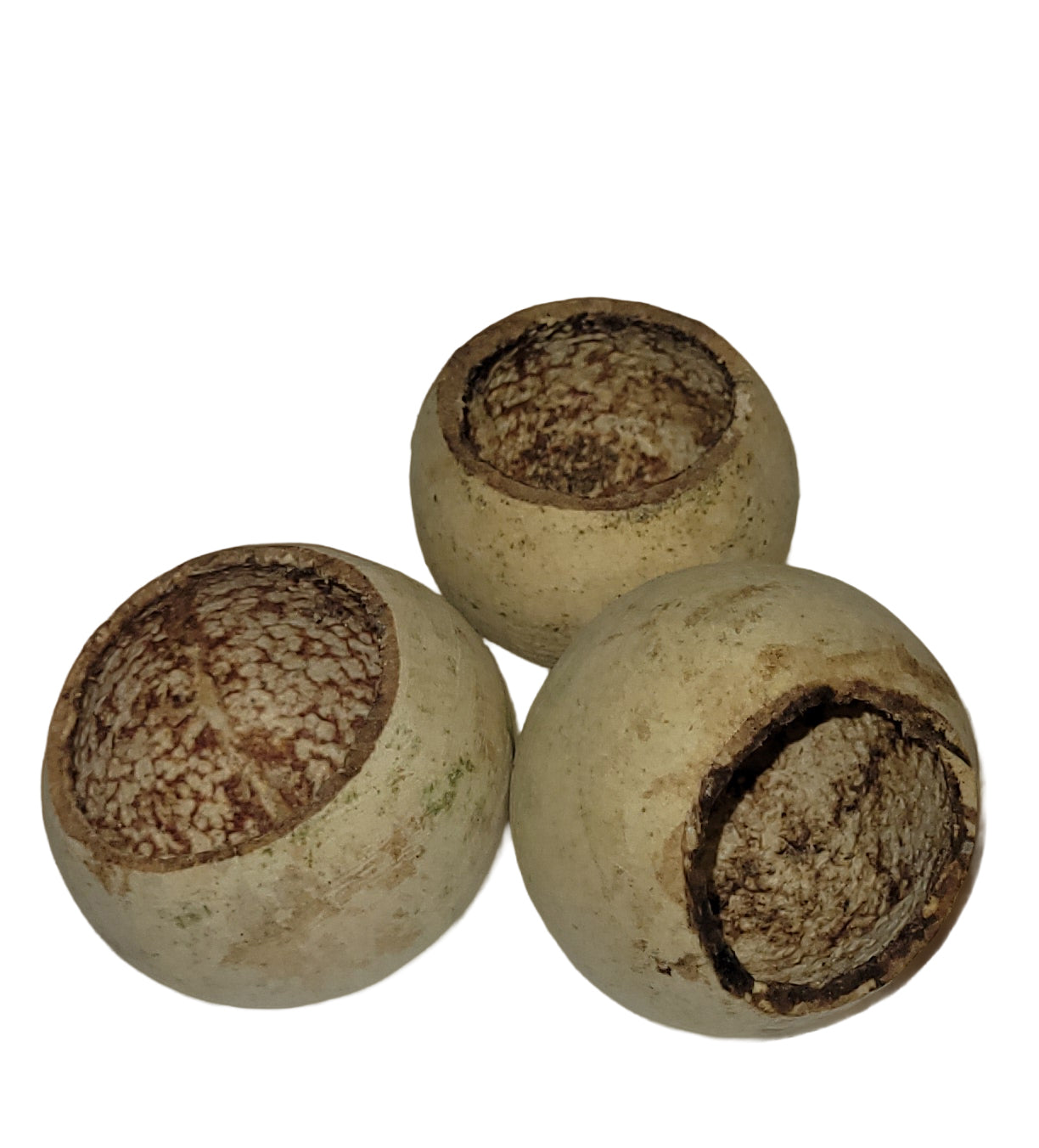 Trocken Bell Cup natur