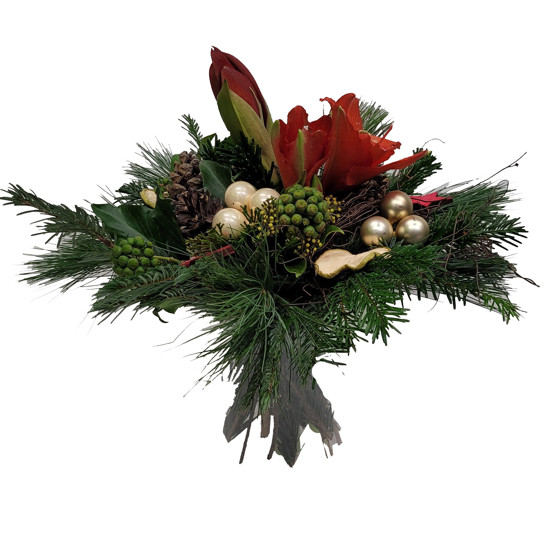 3-20221117_075613-Kopie