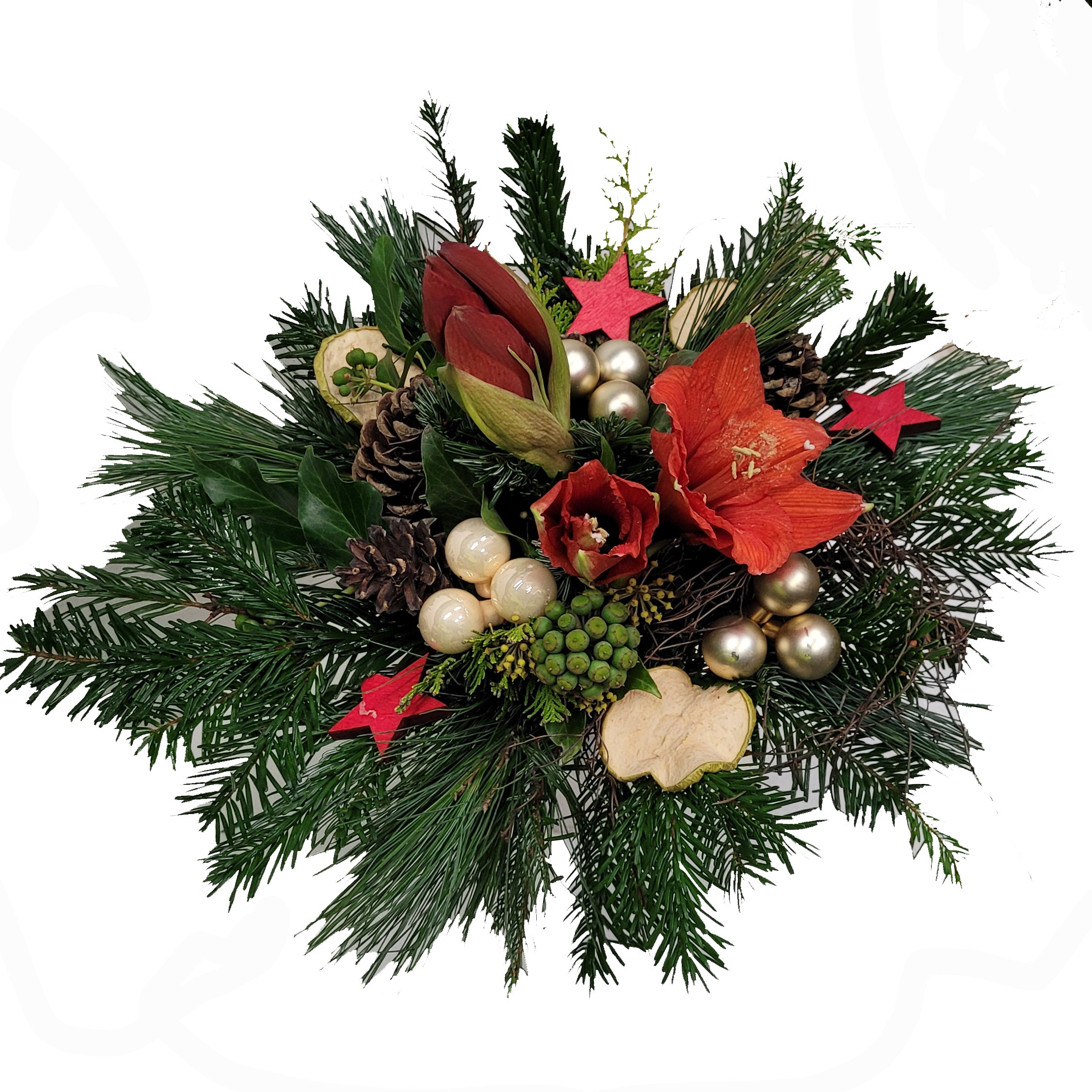 4-20221117_075813-Kopie