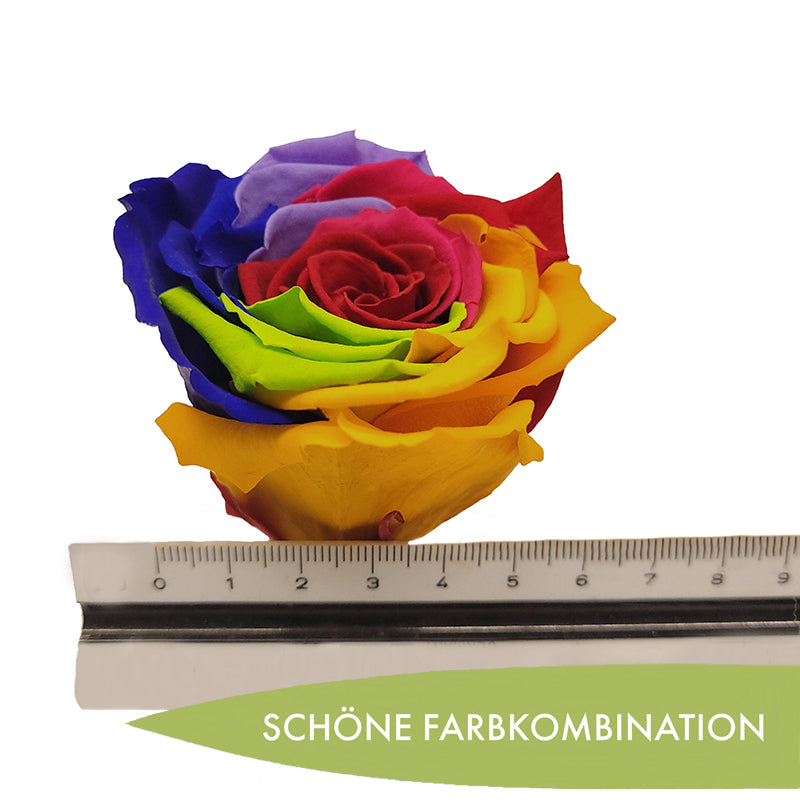 A-20220730_085209-Kopie-2