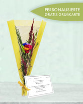 B-1111-Kopie-fast-fertig-Kopie-3