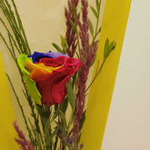 B-20220730_085420-Kopie