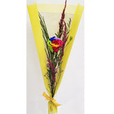 B-20220730_085436-Kopie